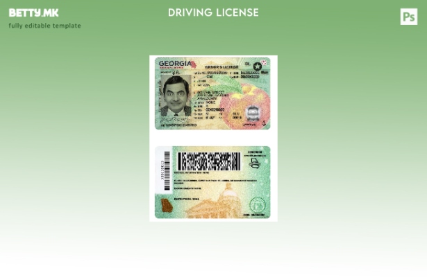 Модерен стил USA Georgia DL (сегашен) шаблон